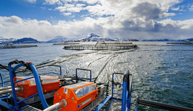 Fish cages in the sea