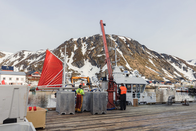 Employees seen from behind, working at the dock