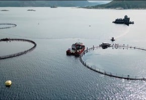 Havbrukslokalitet