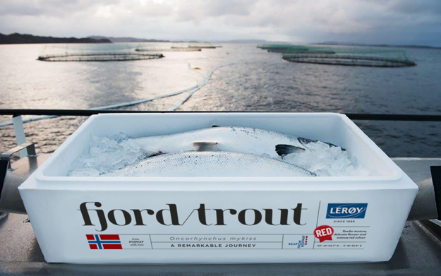 Fjordtrout kasse med ørret