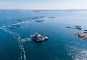 Havbrukslokalitet