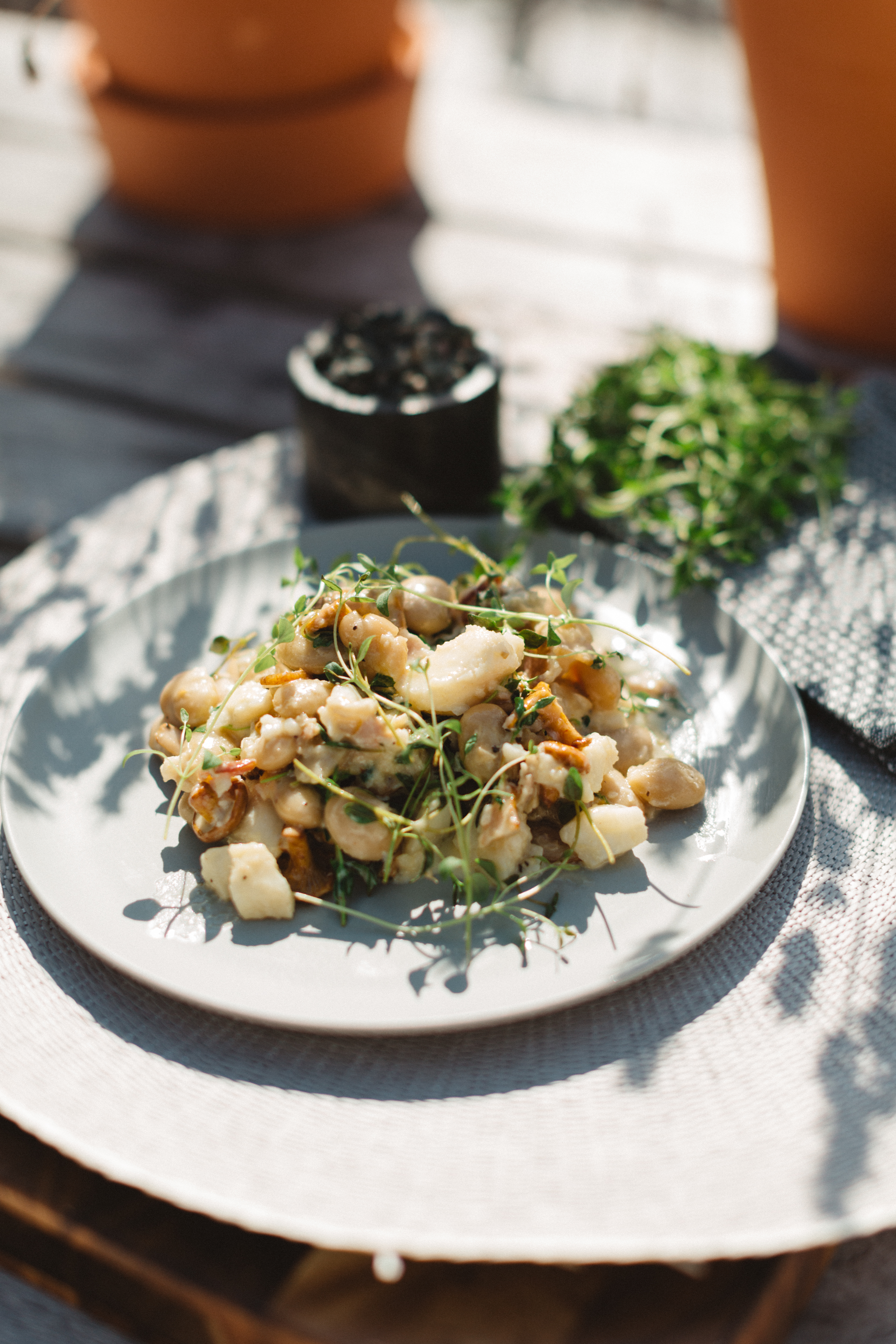 Gryta med havskatt, svamp och timjan